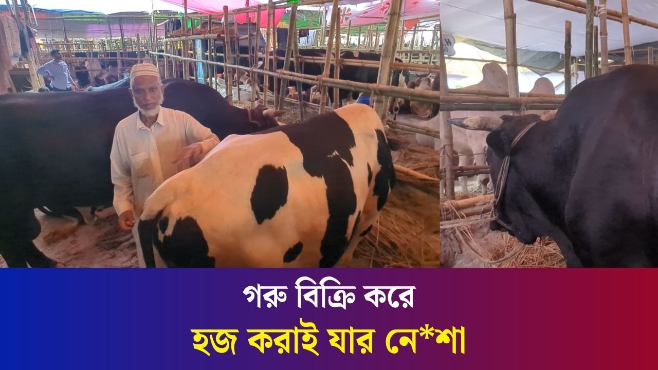 গরু বিক্রি করে ছেলেকে হজ করাতে চান বাবা